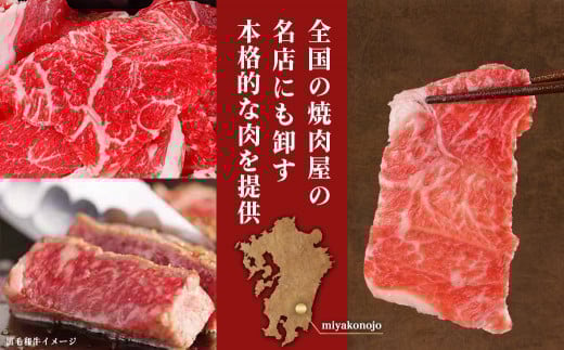 【黒毛和牛】切り落とし1.5kg(250g×6パック)≪みやこんじょ特急便≫_18-I901-Q_(都城市) 10日以内お届け スピード配送 牛肉 国産黒毛和牛 外モモ ウデ マル バラ モモ ブリスケ 切り落とし 250g×6 小分け ブリスケ 