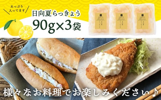 【お試し♪】日向夏らっきょう 90g×3袋≪みやこんじょ特急便≫ ※ポスト投函_LA-C401-PF-Q_らっきょう おつまみ 柑橘風味 さっぱり