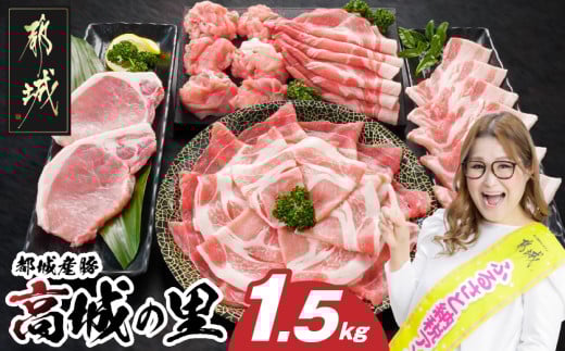 「高城の里」わくわく1.5kgセット(真空)_12-8408-s_(都城市) リピーター続出!! 豚肉 都城産豚 高城の里 しゃぶしゃぶ バラ 焼肉 切り落とし 肩ローススライス ロース とんかつ  ブランド豚