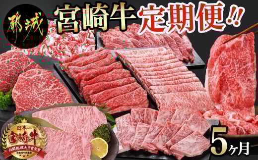 宮崎牛定期便(5ヶ月)_T60（5）-0102