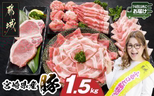 宮崎県産豚わくわく1.5kgセット(真空)≪みやこんじょ快速便≫_11-8401-s-R_(都城市) 豚肉 豚肉セット 宮崎県産豚 しゃぶしゃぶ バラ 焼肉 切り落とし 肩ローススライス ロース とんかつ ミンチ 使い勝手抜群 小分け 真空