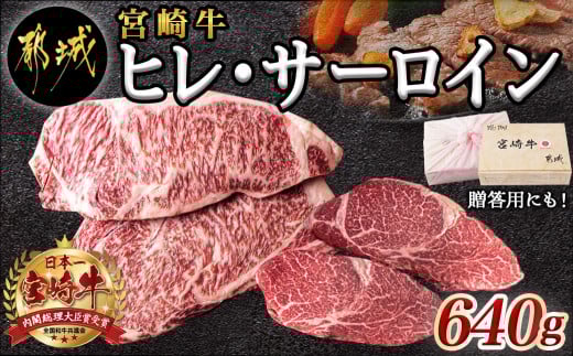 宮崎牛ヒレ・サーロインステーキ640g_AD-2504_(都城市) 食べ比べ 牛肉 ブランド牛 ヒレステーキ 120g×2枚 サーロインステーキ 200g×2枚 ソース 塩コショウ 真空パック 希少部位