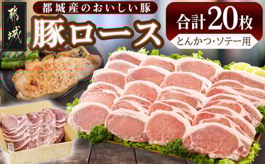 豚ロースとんかつ・ソテー用20枚 - _AA-2506_ ( 都城市 ) 豚肉 豚ロース とんかつ ソテー 100g×5枚×4パック 計20枚 豚 真空パック 冷凍保存