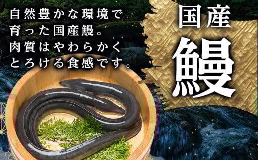 職人手焼きの本格うなぎ蒲焼き4尾_AD-3301_(都城市) 国産 本格 うなぎ 鰻 蒲焼