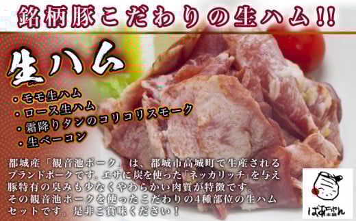 縲瑚ヲウ髻ウ豎繝昴シ繧ッ縲4遞ョ驛ィ菴阪ョ逕溘ワ繝950g繧サ繝繝_MJ-1505