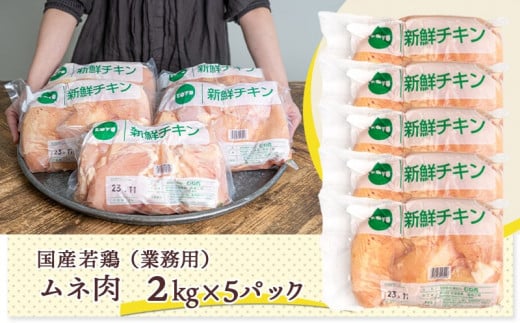 ãæ¥åçšãäœã«ããªãŒïŒé«ã¿ã³ãã¯ïŒåœç£è¥é¶ã ãè10kg_AC-1517_(éœååž) åœå
ç£è¥é¶ é¶ããè 2kgÃ5ãã㯠æ¥åçš é¶èžè äœã«ããªãŒ é«ããã±ã ããã³åè® èžãé¶ ãµã©ãããã³ã«ãããã ã¹ãã㯠ãã£ã±ã ãã«ã·ãŒ é¶è è åœç£ ãã«ã·ãŒ æšå³ ãã£ã·ã ããã³åè® èžãé¶ ç
§ãçŒãããã³