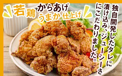 からあげ・チキン南蛮詰め合わせ2kgセット_MJ-4406_(都城市) 電子レンジで簡単調理 4種類のお惣菜 国産鶏塩こうじからあげ (モモ肉)  国産若鶏うまか仕上げ (ムネ肉) チキン南蛮 (特製タルタルソース付) 鶏皮ゴマ甘辛和え おかず