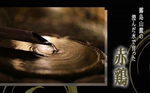 【たしろ屋】赤鶏たたき130g×3P_LF-99-001-3P