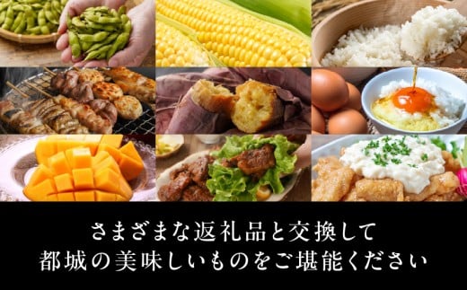 あとからセレクト【ふるさとギフト】6,000円_ASG-6000_ (都城市) 後から選べる返礼品 ギフト ギフトポイント 品数2200点以上 あとから選ぶ カタログギフト カタログ ギフト券 あとから選べる あとからギフト 返礼品カタログ グルメカタログ ギフト肉 グルメギフト フルーツギフト  肉 焼酎 サーモン 野菜 魚介 海産物 うなぎ ゴルフ ふるさとチョイス ふるさと納税 仕組み