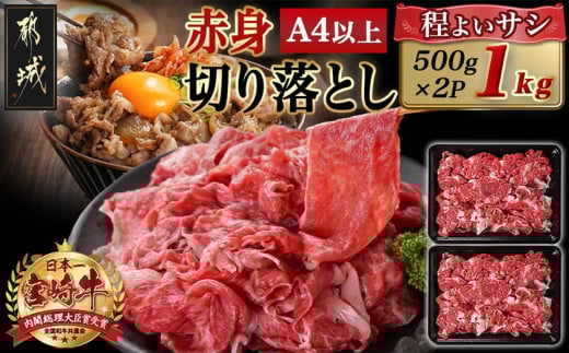 宮崎牛赤身切り落とし(500g×2P)_AC-N403