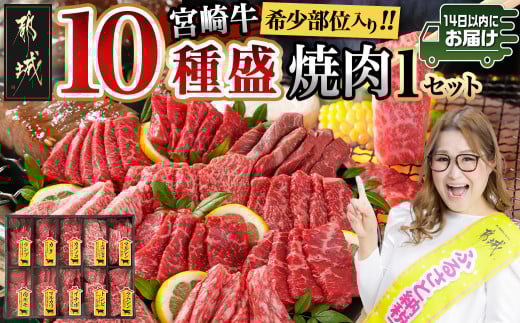宮崎牛食べ比べ10種盛り焼肉セット≪みやこんじょ快速便≫_17-3102-R_(都城市) 都城産 宮崎牛 A4ランク 焼肉 セット 内モモ カタ トンビ ランプ ラムシン マルシン カメノコ イチボ マルカワ ミスジorトモサンカク 10種類 贈答用 14日以内にお届け  ギャル曽根さんおすすめの牛肉返礼品