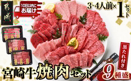 【数量限定】宮崎牛9種盛り焼肉セット≪みやこんじょ特急便≫_22-3101-Q