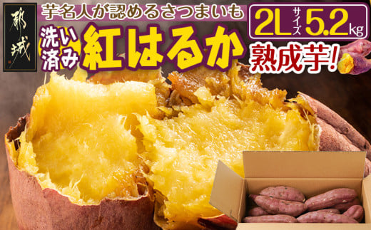 【熟成芋】芋名人が認めるさつまいも『洗い済み　紅はるか』5.2kg 2Lサイズ ※12月～1月頃順次発送_LE-L703-J_(都城市) 宮崎県都城産 紅はるか 2Lサイズ約5.2kg