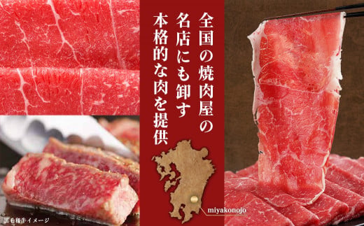【黒毛和牛】赤身すき焼き1kg(500g×2パック)_MJ-I902_(都城市) 国産黒毛和牛 赤身 ウデまたはモモまたはロース すき焼き しゃぶしゃぶ 500g×2パック 牛肉 肉 すき焼き