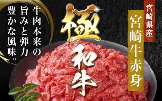 宮崎牛赤身切り落とし(500g×2P)_AC-N403