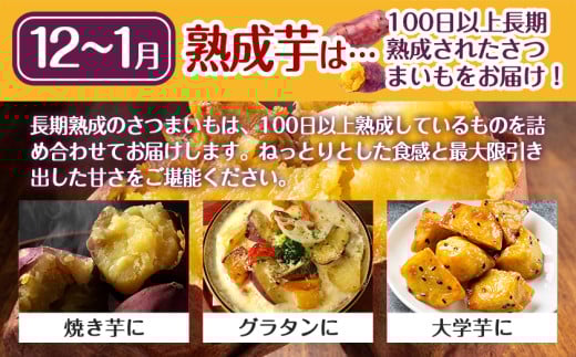 【熟成芋】芋名人が認めるさつまいも『洗い済み　紅はるか』5.2kg 2Lサイズ ※12月～1月頃順次発送_LE-L703-J