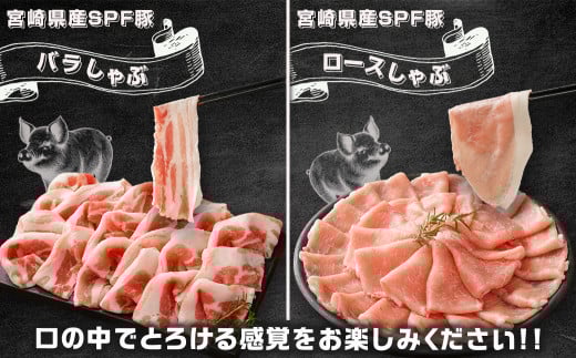 ãå®®åŽSPFè±ãããã¶é3çš®çã2.3kgã»ãã_MJ-K902_(éœååž) å®®åŽçç£è± ããŒã¹ è©ããŒã¹ã¹ã©ã€ã¹ ãã© ããã¶ããã¶ é