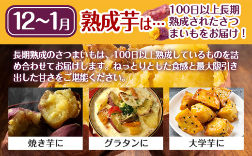 ãçæèãèå人ãèªãããã€ãŸãããæŽãæžã¿ãçŽ
ã¯ããã5.2kg MSãµã€ãº â»12æïœ1æé é æ¬¡çºé_LE-L704-J