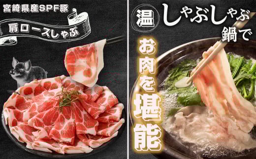 ãå®®åŽSPFè±ãããã¶é3çš®çã2.3kgã»ãã_MJ-K902_(éœååž) å®®åŽçç£è± ããŒã¹ è©ããŒã¹ã¹ã©ã€ã¹ ãã© ããã¶ããã¶ é