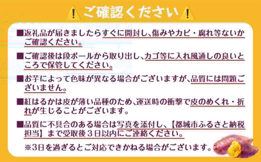 【熟成芋】芋名人が認めるさつまいも『洗い済み　紅はるか』5.2kg 2Lサイズ ※12月～1月頃順次発送_LE-L703-J