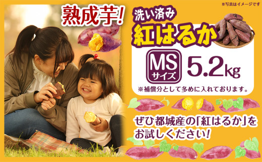 ãçæèãèå人ãèªãããã€ãŸãããæŽãæžã¿ãçŽ
ã¯ããã5.2kg MSãµã€ãº â»12æïœ1æé é æ¬¡çºé_LE-L704-J