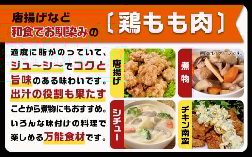 国産若鶏3kgセット 小分けパック!カット済み!(もも300g×3P・むね300g×7P)≪みやこんじょ特急便≫_11-33-007-N3kg-Q