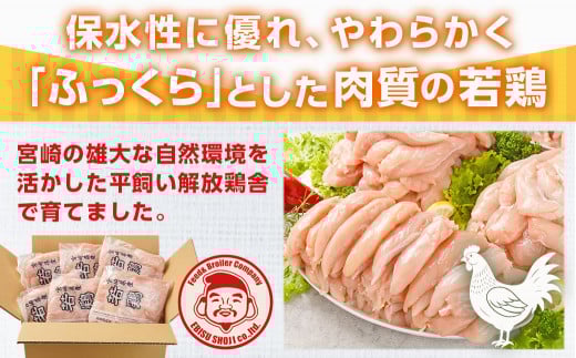 宮崎県産若鶏 ささみ(6kg)_13-G301_(都城市) 若鶏 鶏肉 真空 ささみ 宮崎県 平飼い ハーブ ふっくら ジューシー サラダ メイン 冷凍 便利 保水性 やわらか ふっくら ジューシー