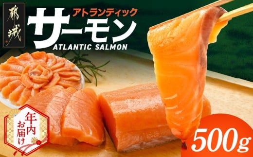 【年内お届け】アトランティックサーモン500g≪2025年12月15日～31日お届け≫_AA-M302-HNY