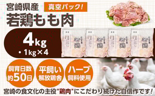 宮崎県産若鶏 もも肉(4kg)_12-G302_(都城市) 若鶏 鶏肉 真空 モモ身 宮崎県 平飼い ハーブ やわらかく ふっくら ジューシー 歯ごたえ 親子丼 唐揚げ 照り焼き 冷凍 便利 保水性 やわらか ふっくら ジューシー
