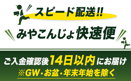 「高城の里」わくわく1.5kgセット(真空)≪みやこんじょ快速便≫_12-84-001-1500g-R