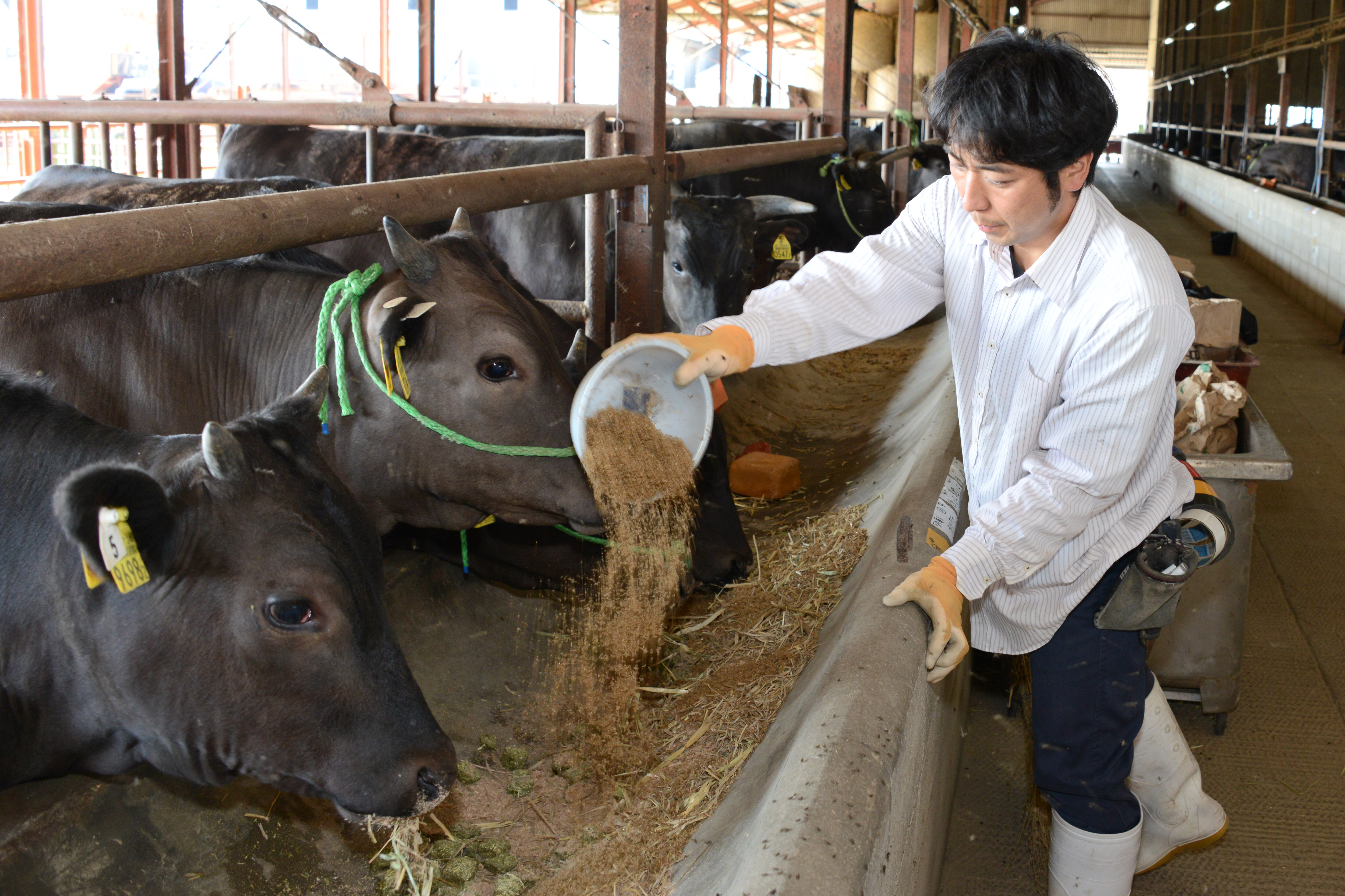 ふるさと農林畜産支援