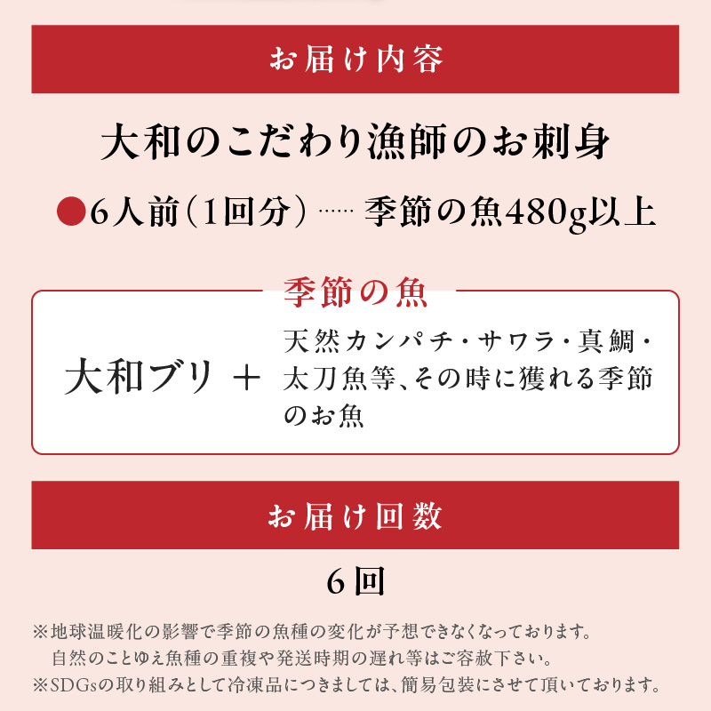 【6ヶ月定期便】大和のこだわり漁師のお刺身6人前 N072-YE095_2