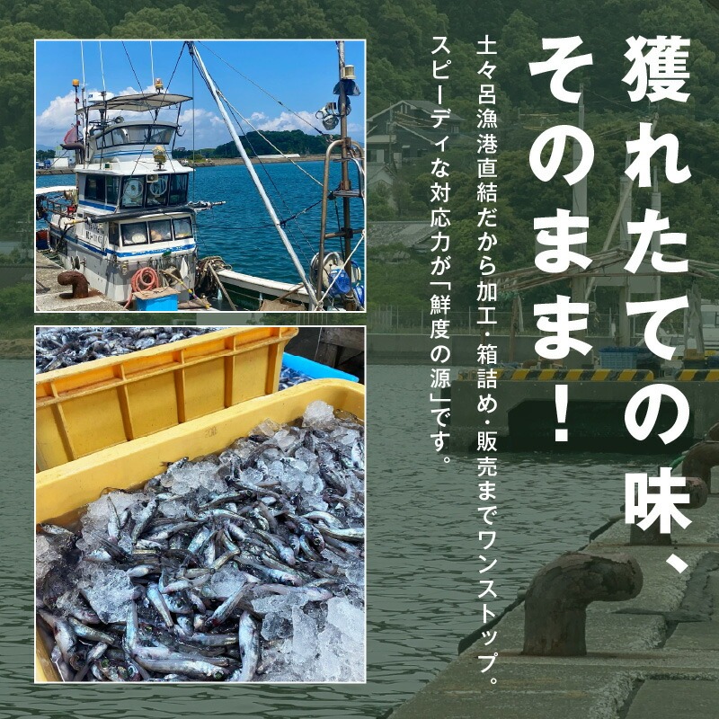訳あり 唐揚げ用めひかり 500g サイズ不揃い 簡単揚げるだけ! N065-YA0505