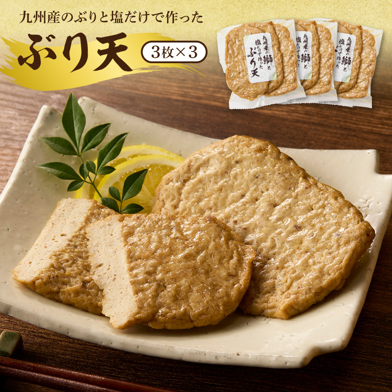 塩と地魚だけで作った天ぷらセット N006-YA4431