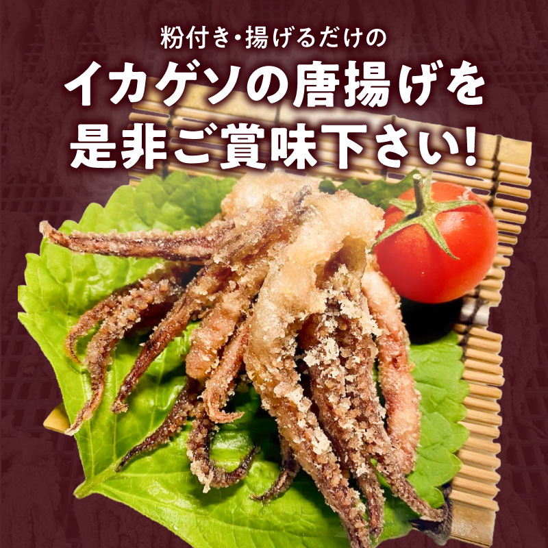 【訳あり】国産するめいか使用!粉付き唐揚げ用イカゲソ1kg N065-YA2265
