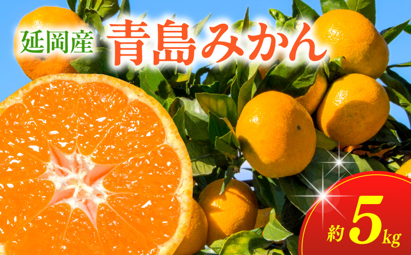 青島みかん（5kg）12月下旬から発送 N050-YA2274