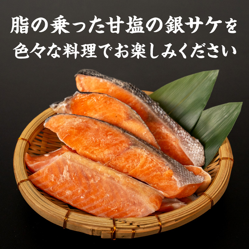 【訳あり】甘塩銀サケ昆布風味（500g×2）N0212-YA2272