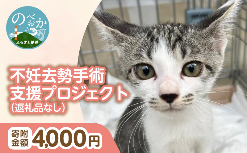 人と猫が互いに幸せになれるまちを目指して『不妊去勢手術支援プロジェクト』（返礼品はありません） N0159-9999994