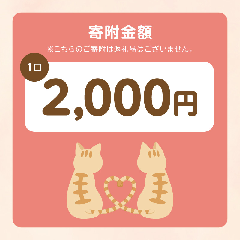 人と猫が互いに幸せになれるまちを目指して『不妊去勢手術支援プロジェクト』（返礼品はありません） N0159-9999996