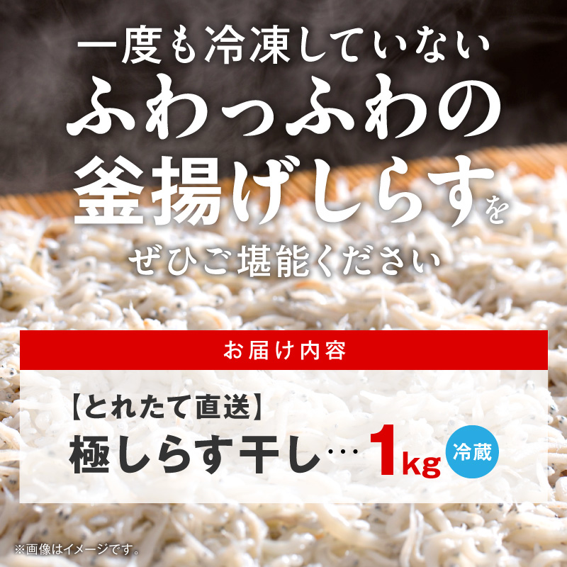 縲舌→繧後◆縺ヲ逶エ騾√第・オ縺励i縺吝ケイ縺 1kg N065-YA4442