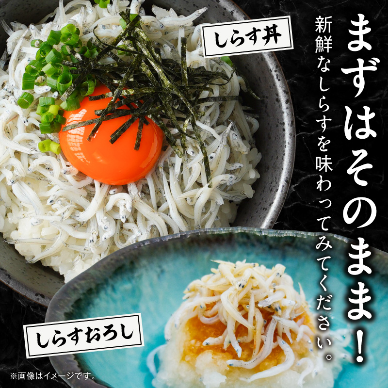 縲舌→繧後◆縺ヲ逶エ騾√第・オ縺励i縺吝ケイ縺 1kg N065-YA4442