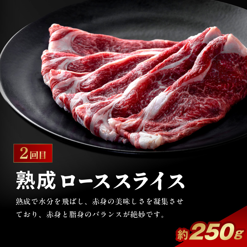 肉の彩り6ヶ月定期便 N0105-YF103