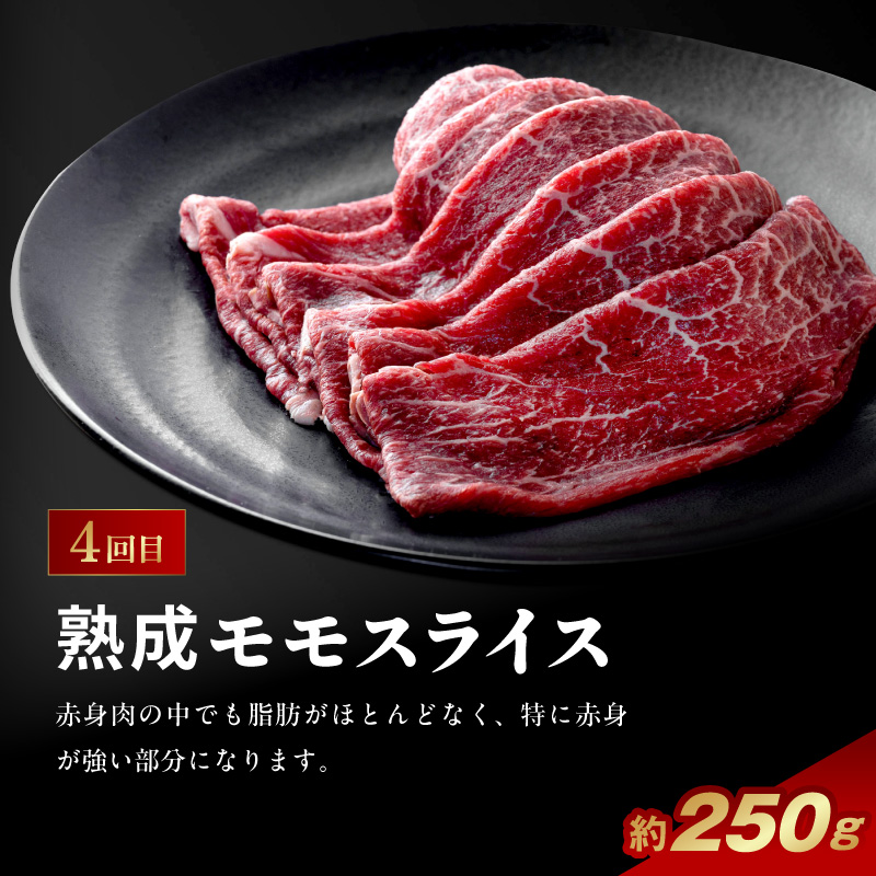 肉の彩り6ヶ月定期便 N0105-YF103