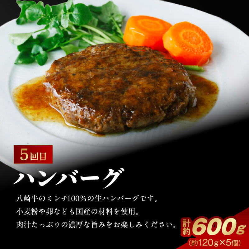 肉の彩り6ヶ月定期便 N0105-YF103