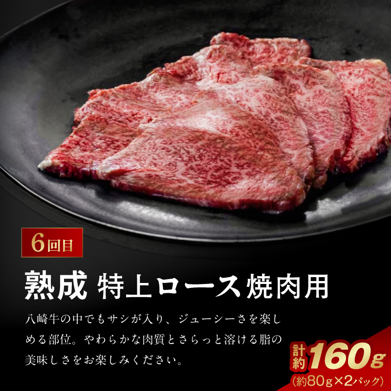 肉の彩り6ヶ月定期便 N0105-YF103