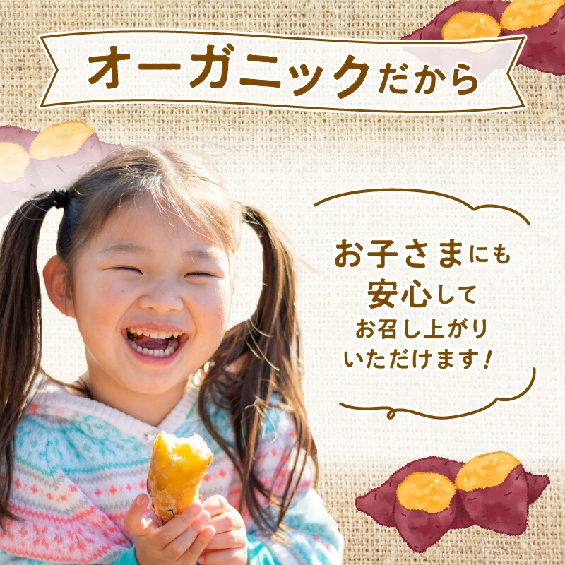 さつまいも 紅はるか 5kg　N063-YA3385