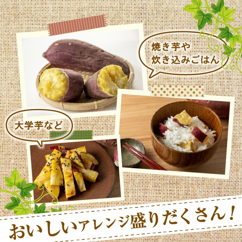 さつまいも 紅はるか 5kg　N063-YA3385