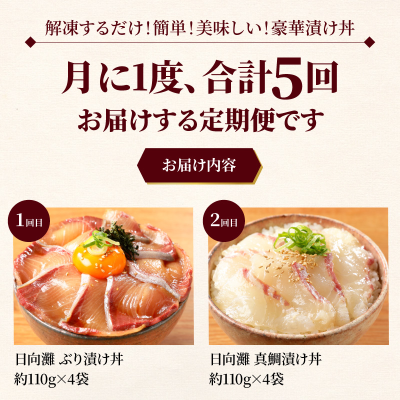 お魚の漬け丼バラエティ5回定期便 N019-YE097