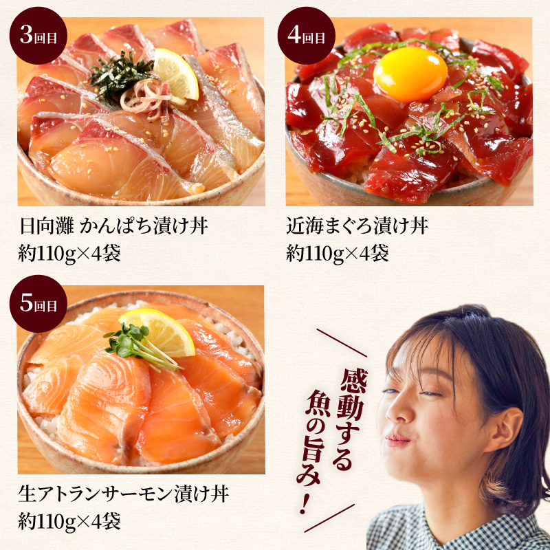 お魚の漬け丼バラエティ5回定期便 N019-YE097