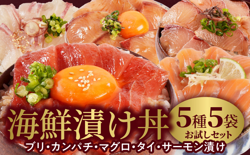 【冷凍】海鮮漬け丼5種お試しセット N019-YA192